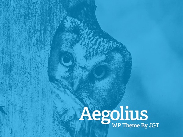 aegolius-theme-personal-blog-wordpress-theme-qi4j-o.jpg