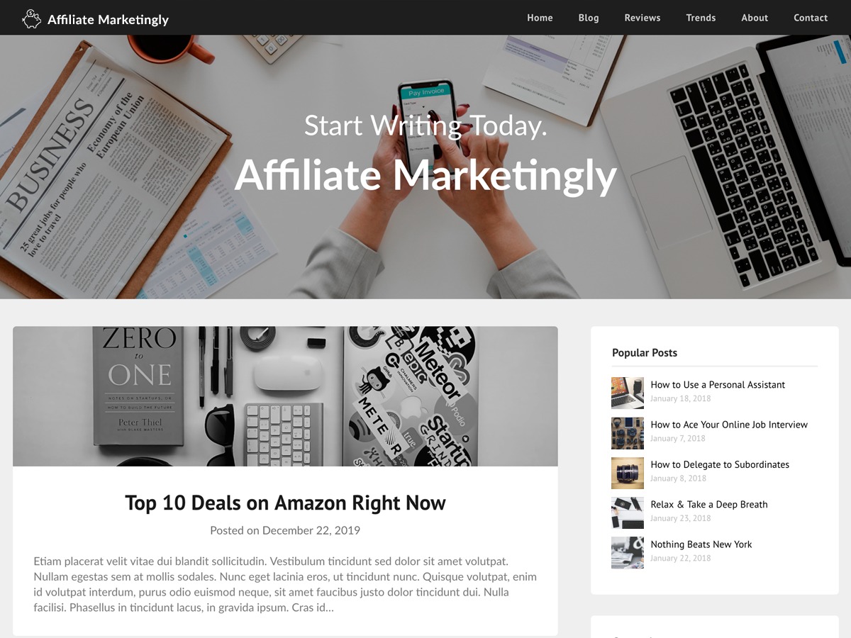 affiliate-marketingly-wordpress-blog-template-nhg8n-o.jpg