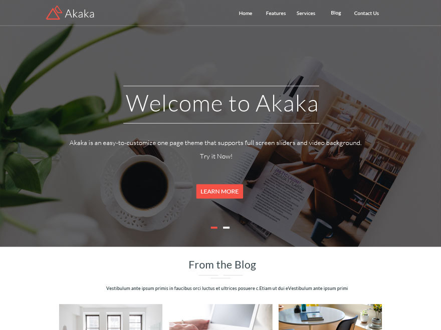 akaka-wordpress-blog-template-bkm37-o.jpg