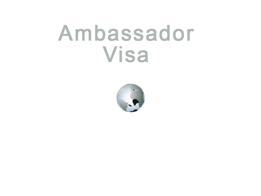 ambassador-visa-wordpress-template-for-business-jqw2a-o.jpg
