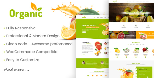 AmyOrganic - Organic and Healthy Theme for WordPress