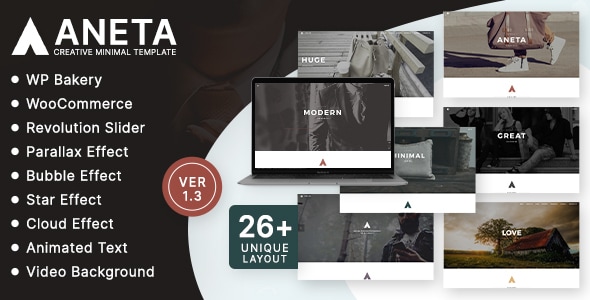 Aneta Agency Startup  Agency WordPress Theme