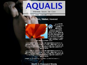 aqualis-14062013-template-wordpress-cki9e-o.jpg