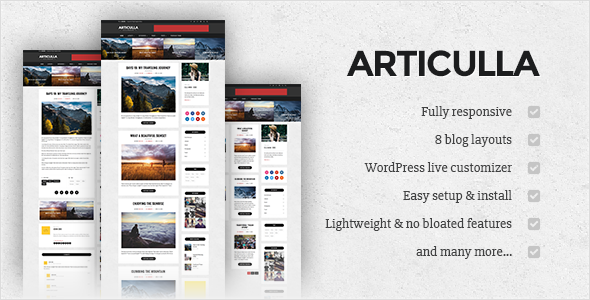 Articulla - Responsive WordPress Blog Theme