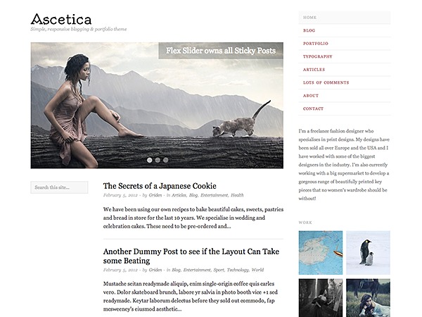 ascetica-wordpress-blog-template-btm9-o.jpg