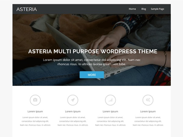 asteria-lite-wordpress-ecommerce-theme-dui-o.jpg