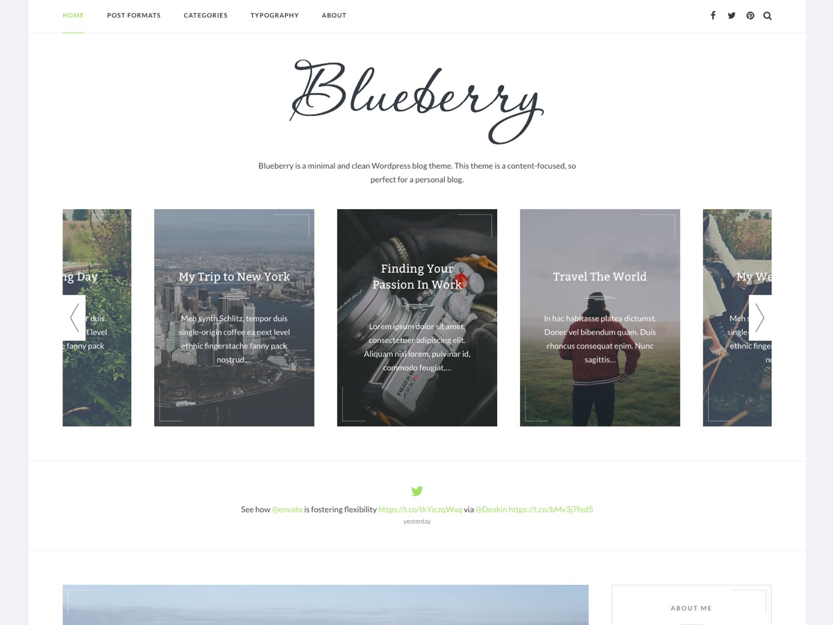 awd-blueberry-wordpress-blog-template-dx6q2-o.jpg