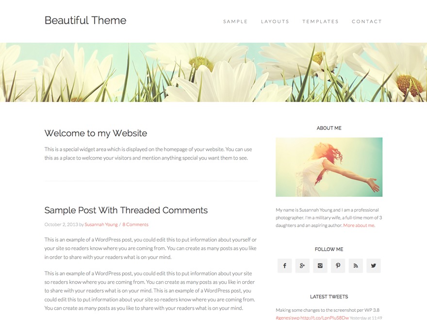 beautiful-pro-theme-wordpress-website-template-84-o.jpg