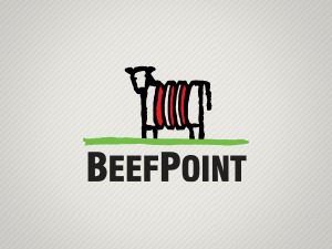 beefpoint-prosites-wordpress-template-fgsmg-o.jpg