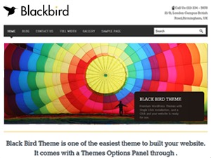 best-wordpress-template-blackbird-child-c6b8m-o.jpg