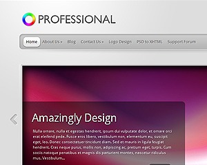 TheProfessional Wordpress Theme Screenshot
