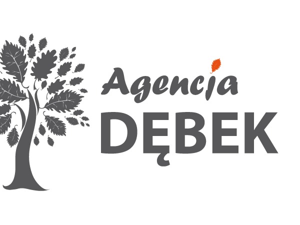 best-wordpress-theme-agencja-debek-ca4bk-o.jpg