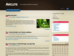 best-wordpress-theme-arclite-ms3-o.jpg
