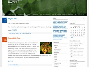 birdtips-wordpress-template-free-99d-o.jpg