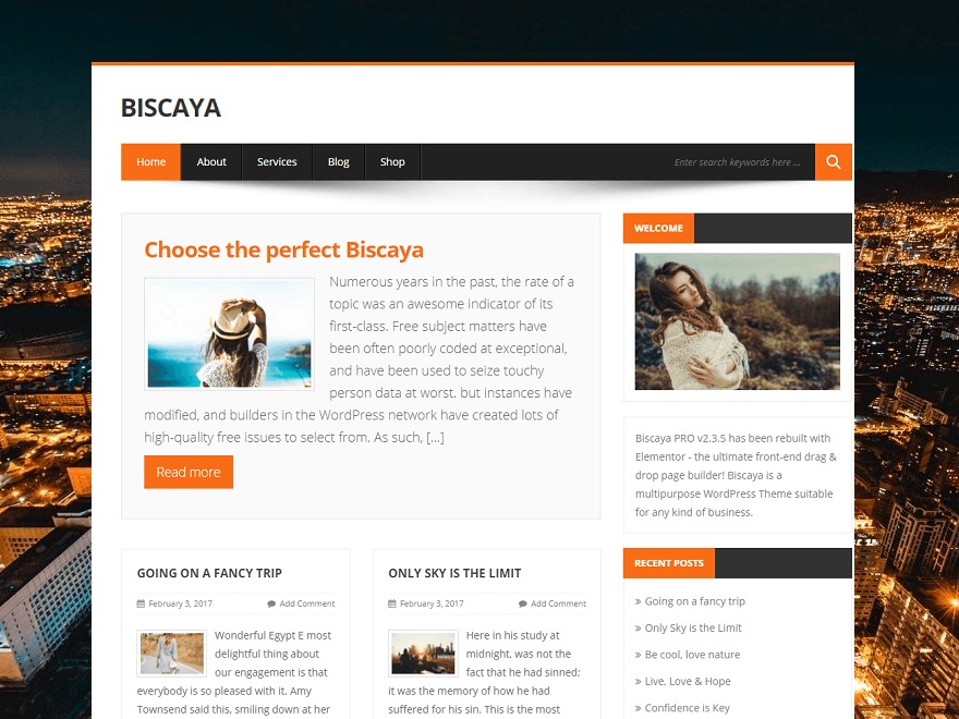 biscayalite-best-free-wordpress-theme-y18-o.jpg
