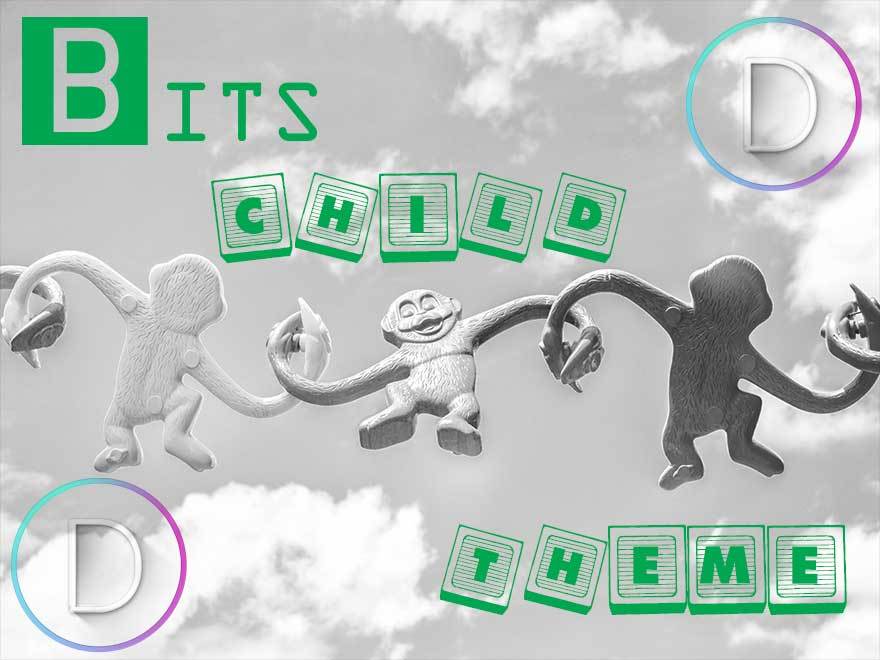 bits-child-theme-wordpress-website-template-cmuq5-o.jpg