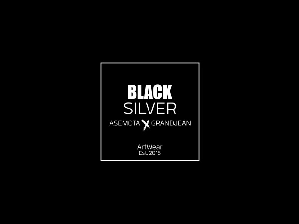 blacksilver-wp-template-c9xgj-o.jpg