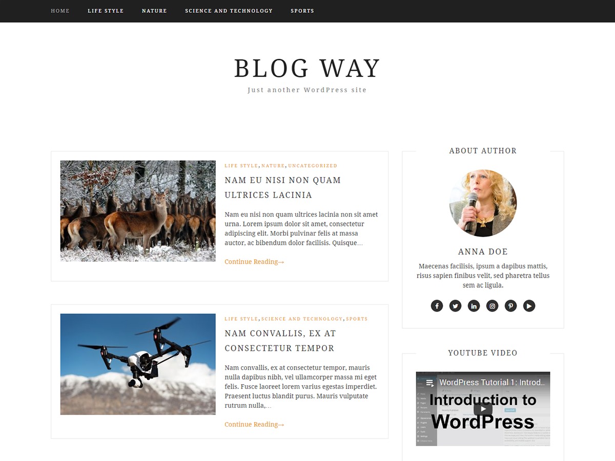 blog-way-free-wordpress-theme-iw4-o.jpg