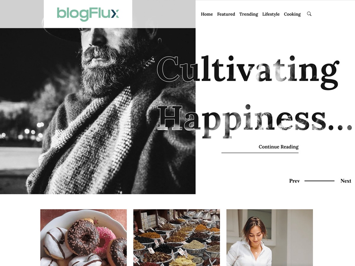 blogflux-wordpress-blog-template-tz26c-o.jpg