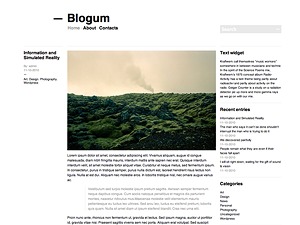 blogum-wordpress-blog-template-trf-o.jpg