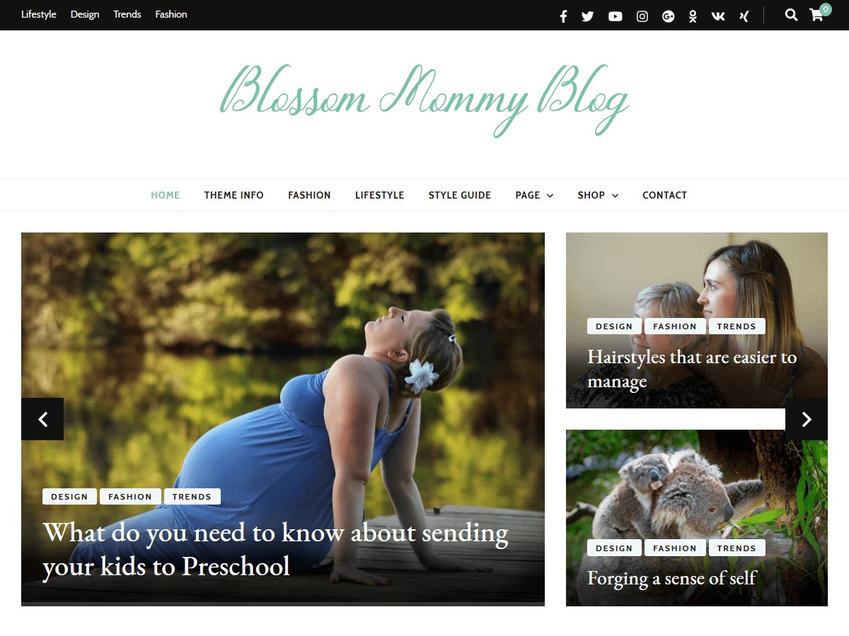 blossom-mommy-blog-food-wordpress-theme-i98ax-o.jpg