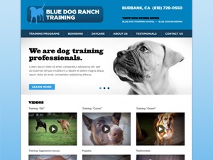 blue-dog-ranch-wordpress-theme-c4m38-o.jpg