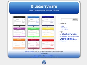 blueberry-wordpress-blog-theme-rpi-o.jpg