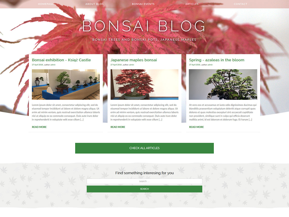bonsai-blog-wordpress-blog-theme-jewsb-o.jpg