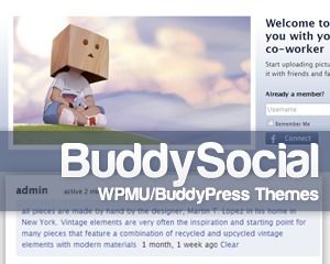 buddypress-social-wp-theme-bai3-o.jpg