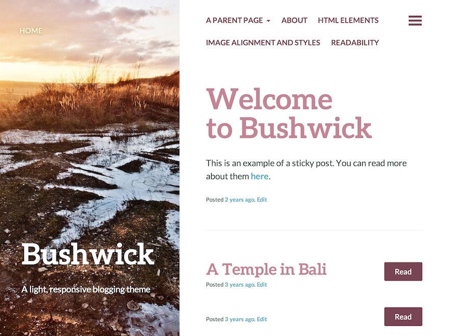 bushwick-wordpress-free-download-fjw-o.jpg