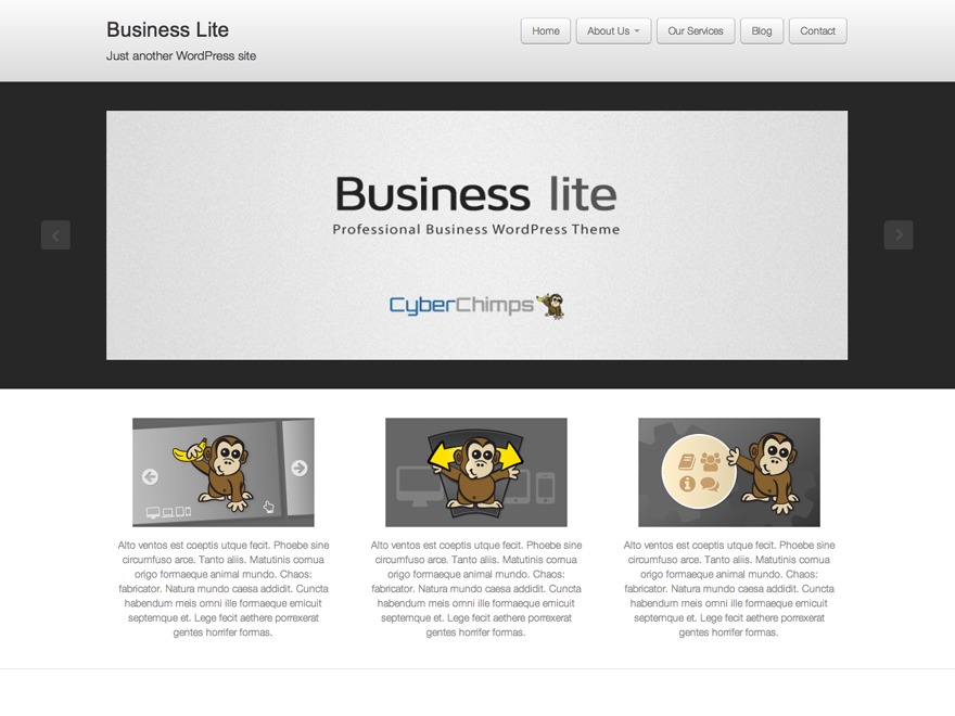 business-lite-free-wordpress-theme-y1t-o.jpg
