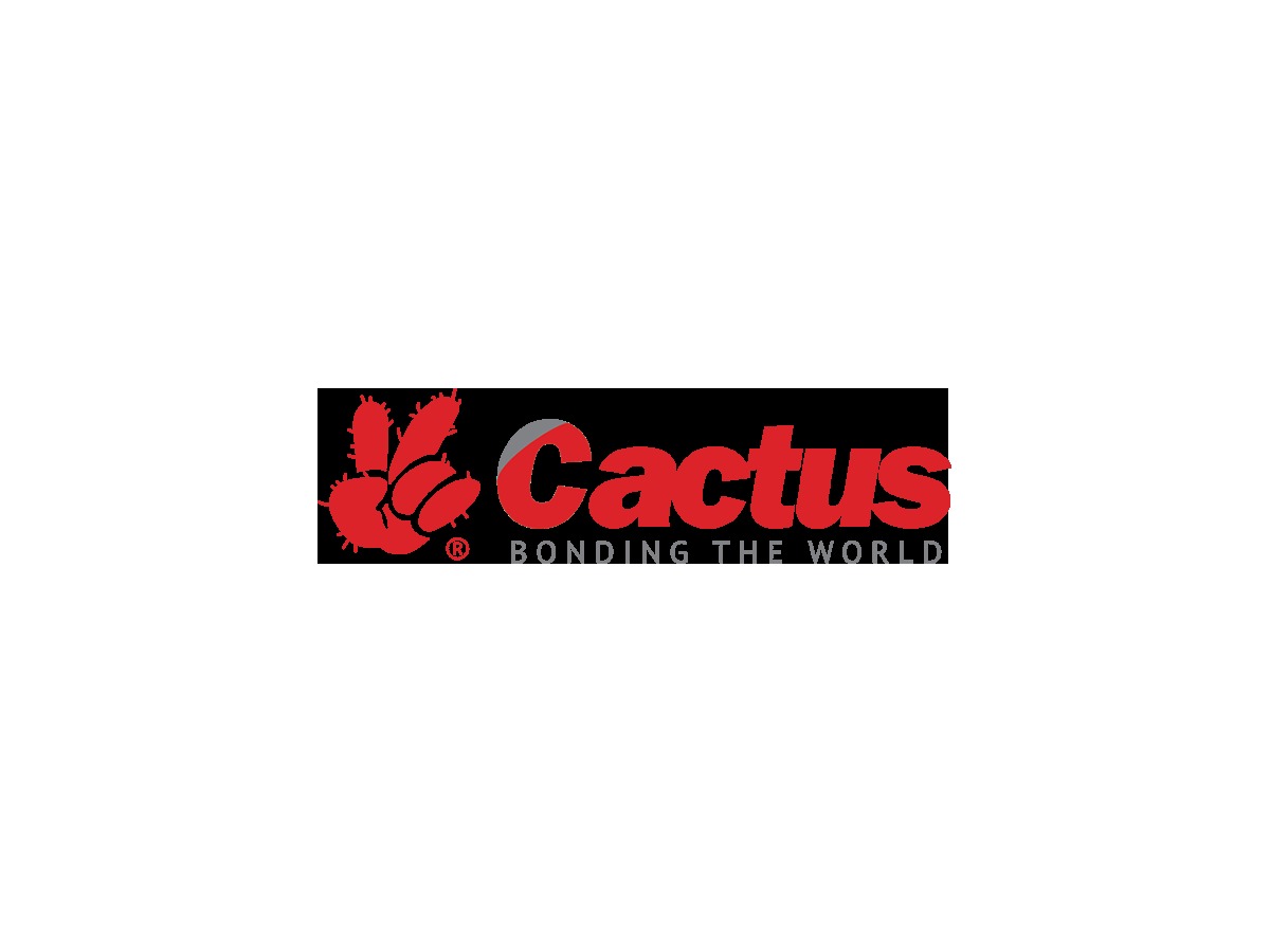 cactus-tape-theme-wordpress-t1rqj-o.jpg