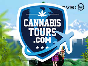 cannabis-tours-wordpress-theme-difye-o.jpg