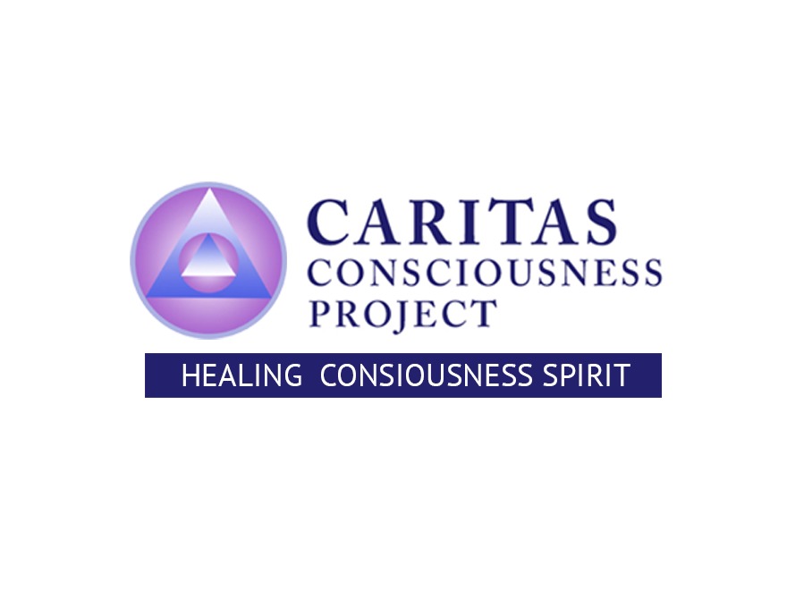 caritas-child-wordpress-theme-q16tn-o.jpg
