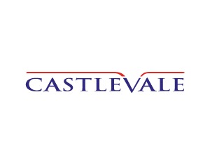 castlevale-wordpress-theme-dmbwz-o.jpg