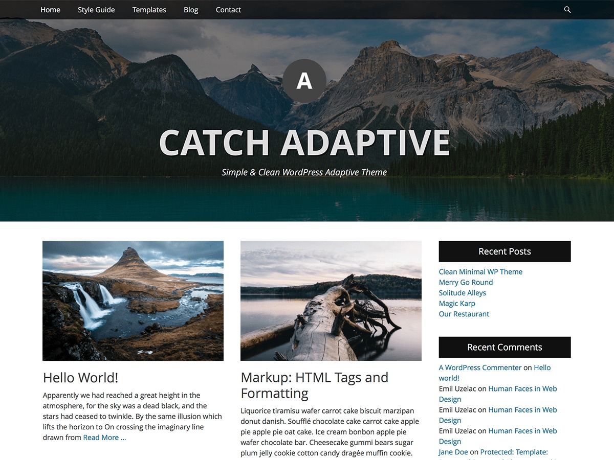 catch-adaptive-best-free-wordpress-theme-es9-o.jpg