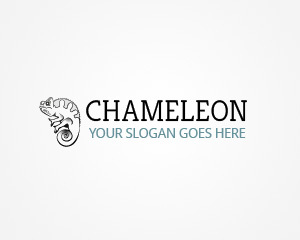 chameleon-theme-wordpress-bqd-o.jpg