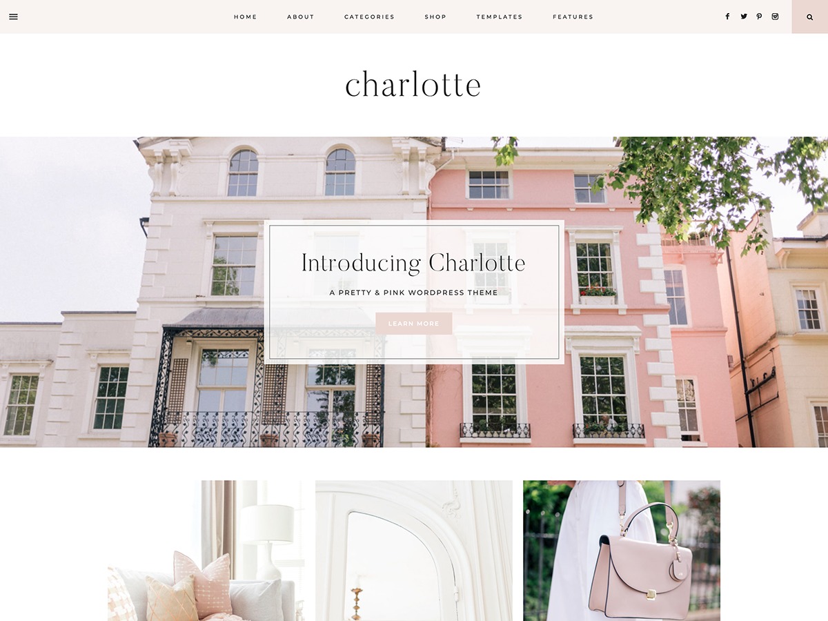 charlotte-wordpress-website-template-q3164-o.jpg