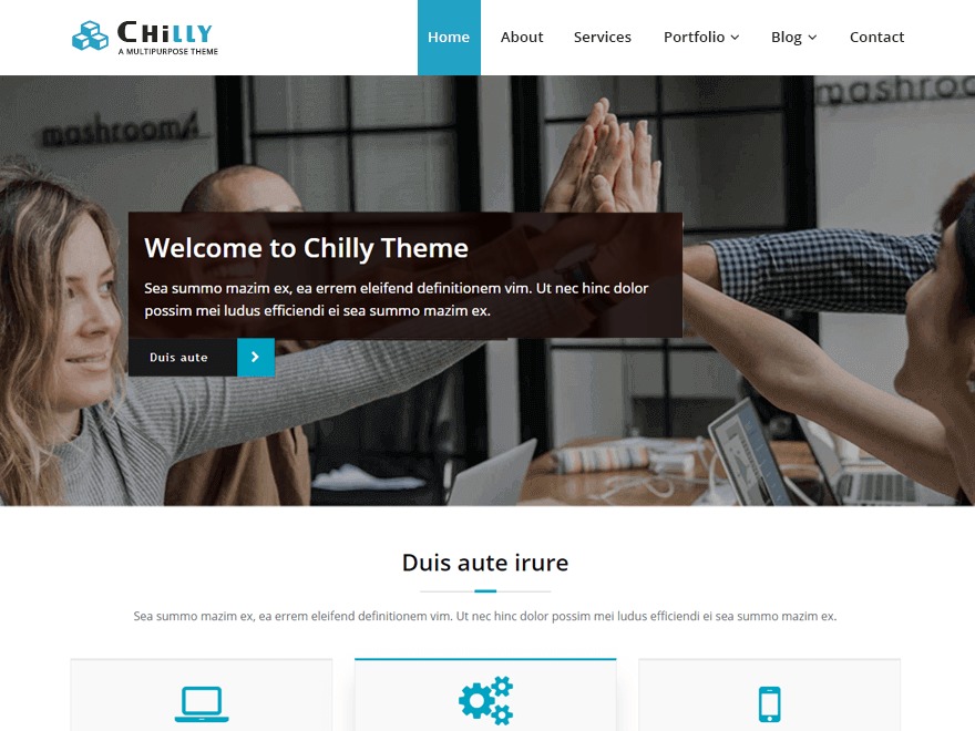 chilly-wordpress-template-for-business-i112h-o.jpg