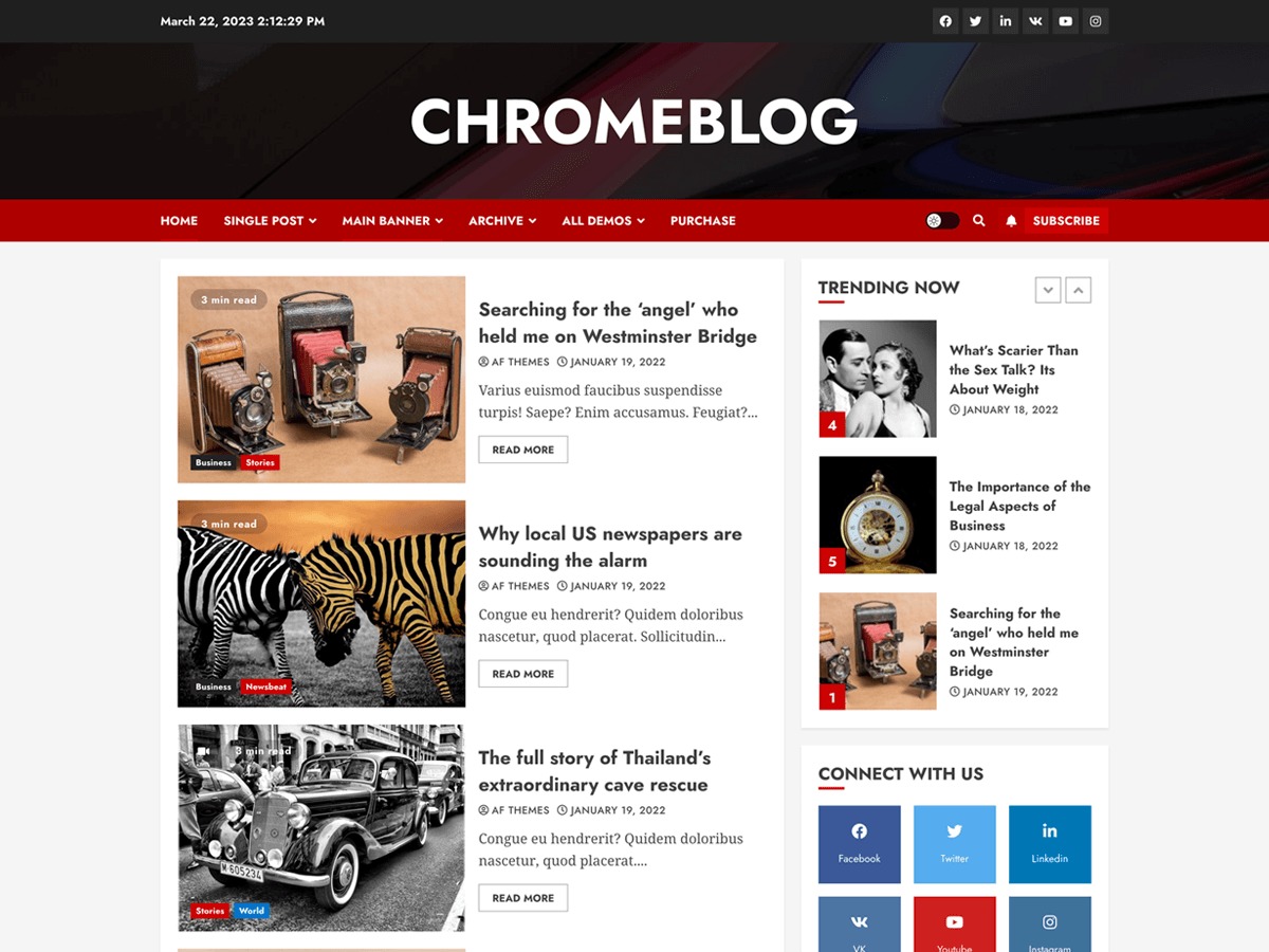 chromeblog-wordpress-ecommerce-theme-ta8y3-o.jpg
