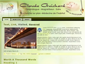 claudeguichard-wordpress-theme-design-dspnx-o.jpg