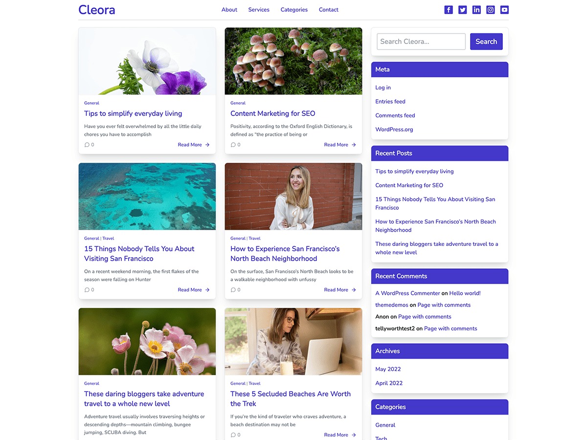 cleora-wordpress-blog-template-sixmq-o.jpg