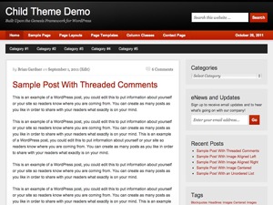 Copyblogger Child Theme Wordpress Theme Screenshot