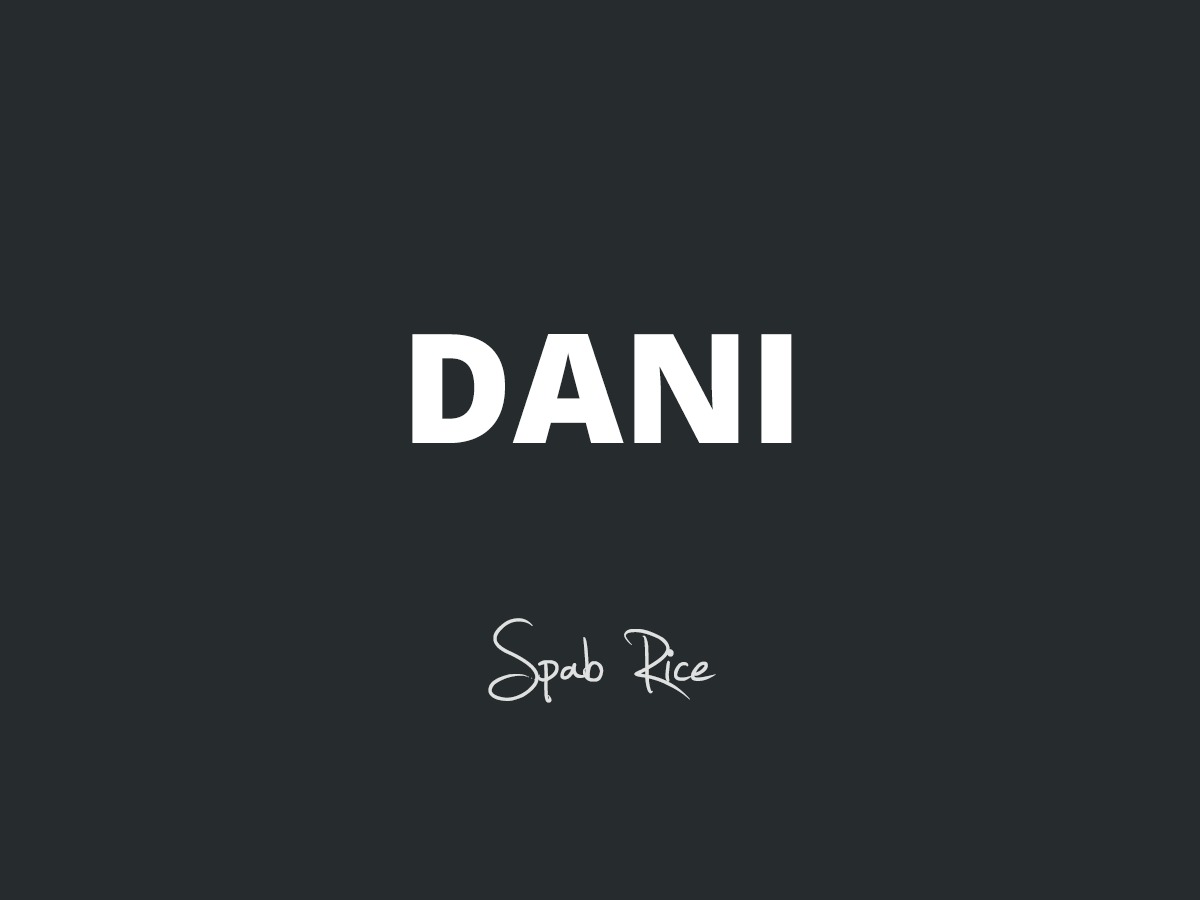dani-wordpress-portfolio-template-du4h-o.jpg