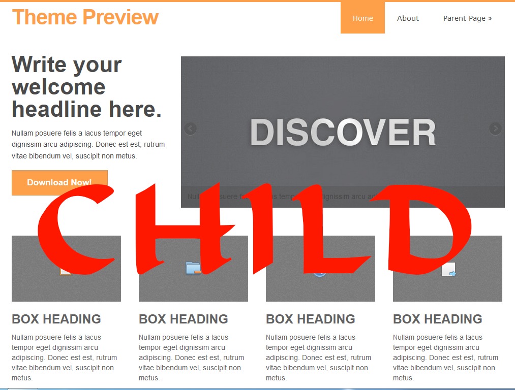 discover-child-wordpress-shopping-theme-ckg2b-o.jpg