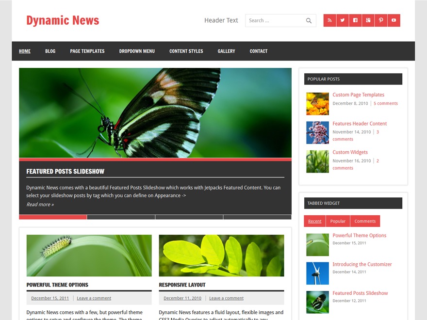 dynamic-news-lite-free-website-theme-h44-o.jpg