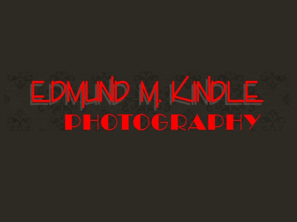 edmind-m-kindle-theme-best-wordpress-template-rog1-o.jpg
