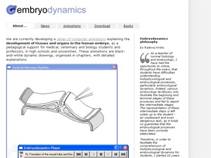 embryodynamics-classic-wordpress-template-dgj74-o.jpg