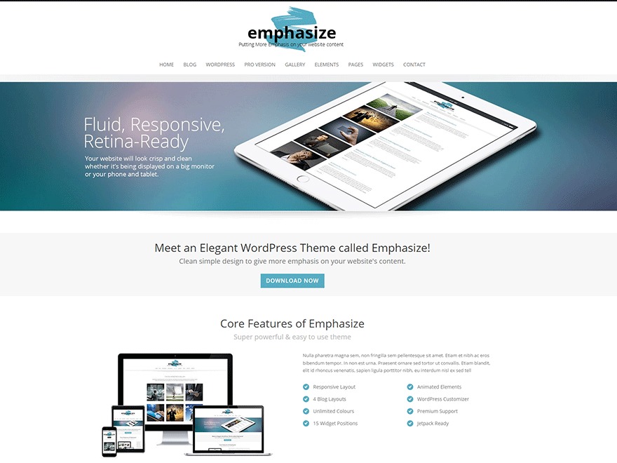 emphasize-wordpress-blog-template-6hh-o.jpg