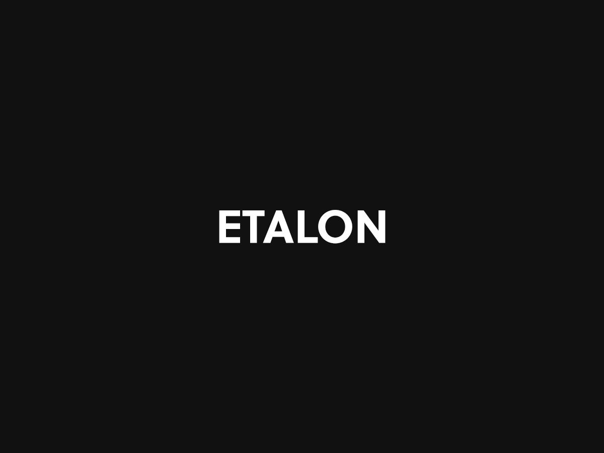 etalon-wordpress-theme-33fe-o.jpg